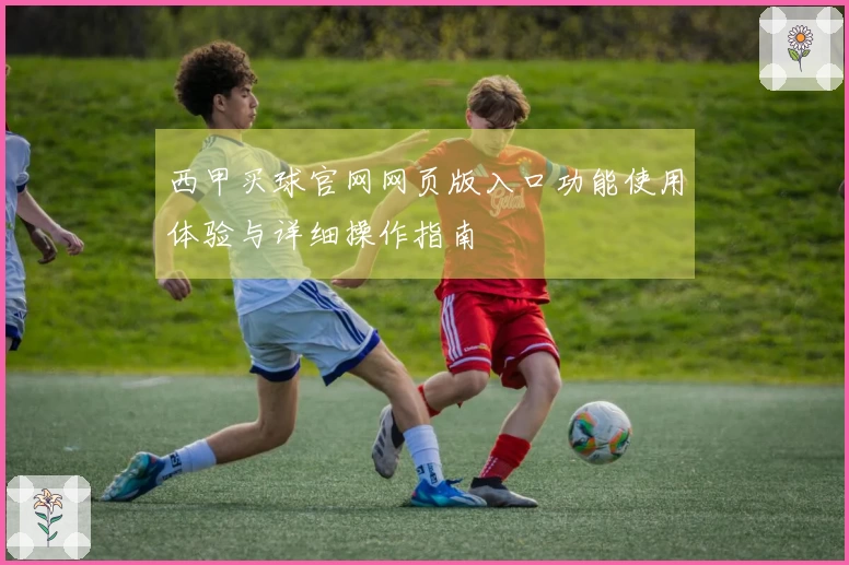西甲买球官网网页版入口功能使用体验与详细操作指南