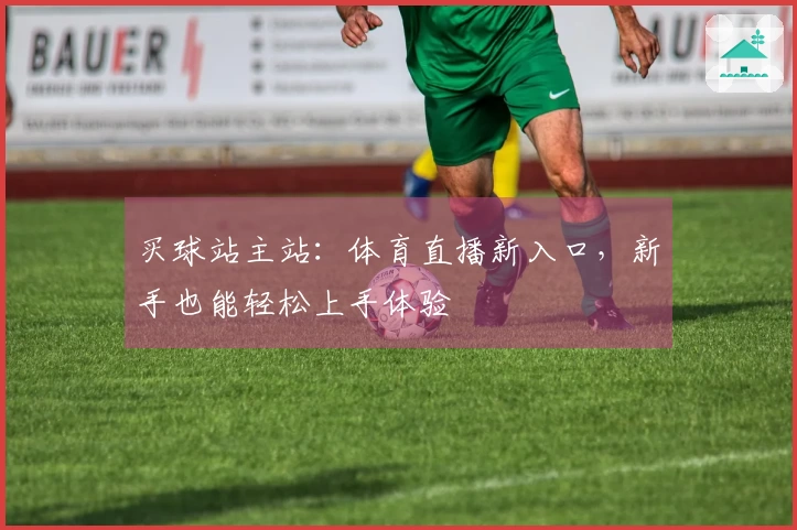 买球站主站：体育直播新入口，新手也能轻松上手体验