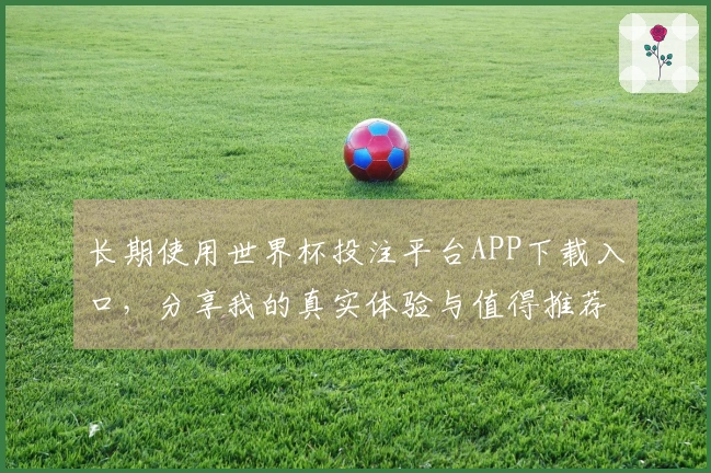 长期使用世界杯投注平台APP下载入口，分享我的真实体验与值得推荐的功能