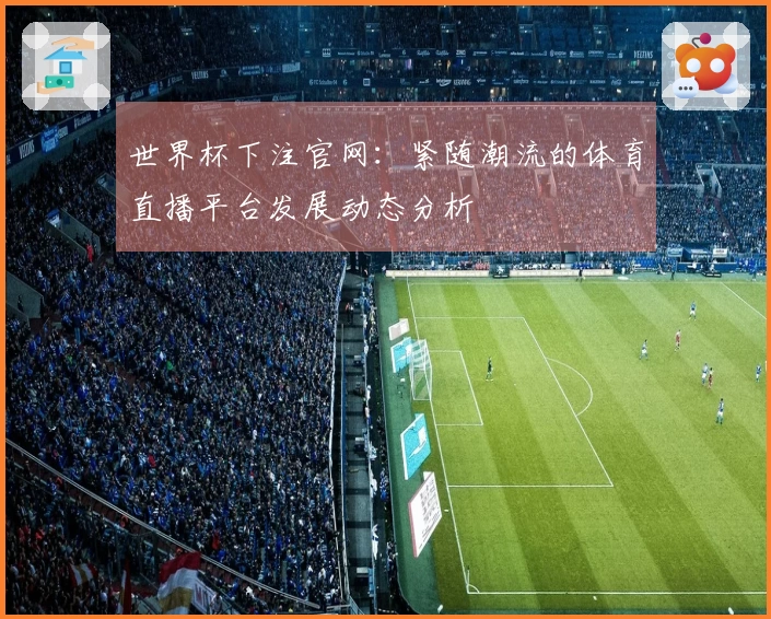 世界杯下注官网：紧随潮流的体育直播平台发展动态分析