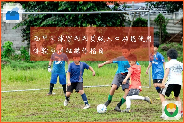 西甲买球官网网页版入口功能使用体验与详细操作指南