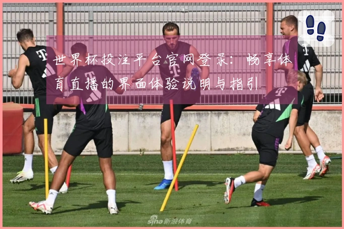 世界杯投注平台官网登录：畅享体育直播的界面体验说明与指引