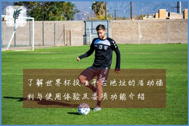 了解世界杯投注平台地址的活动福利与使用体验及各项功能介绍