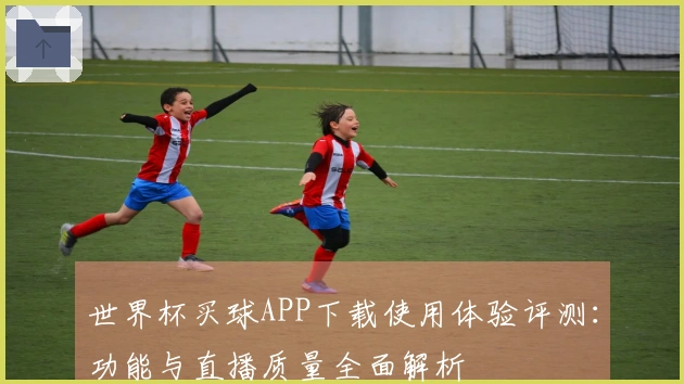 世界杯买球APP下载使用体验评测：功能与直播质量全面解析
